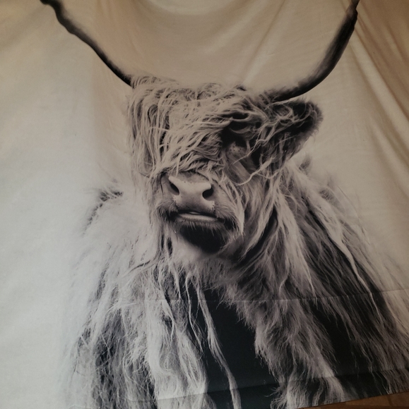 LAST ONE 🔥 Highlander Cow Tapestry - Picture 2 of 3